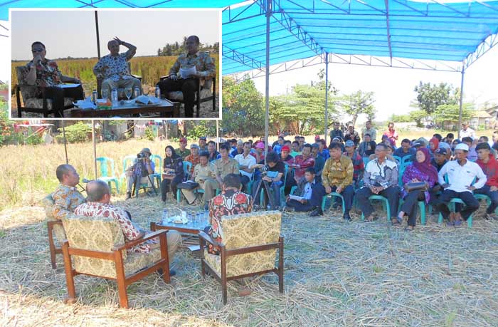 KUD `Mati Suri` Pasca Reformasi, Petani Karawang Minta Jokowi Aktifkan Kembali Peranannya